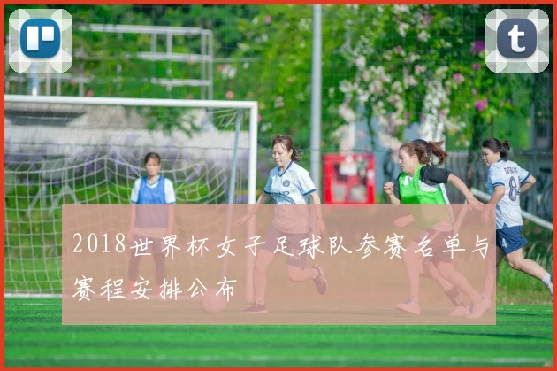 2018世界杯女子足球队参赛名单与赛程安排公布